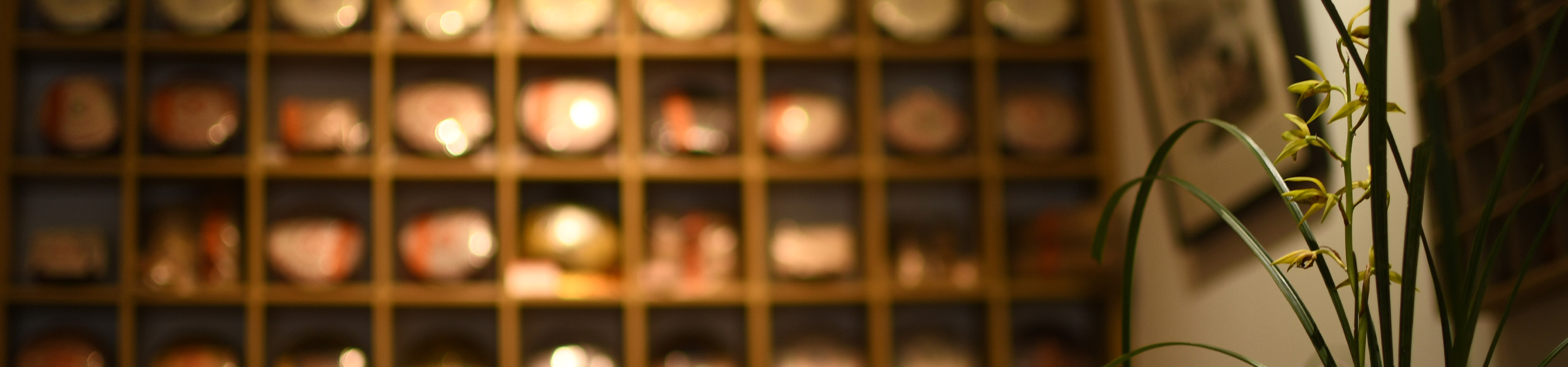 它山茶舍動態(tài)